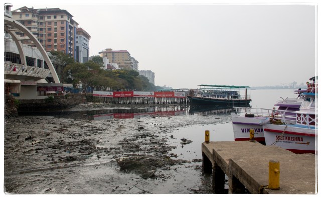 Kochi seaside with sludge