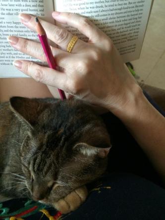 10419446_10204335947852596_723645751184807554_n