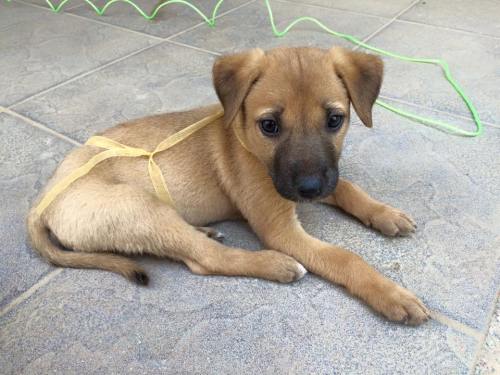 10422227_10205152632669206_8769053486152712461_n