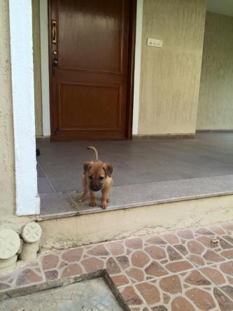 11053217_10205152632109192_3176000147653202710_n